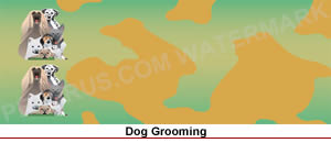 dog grooming
