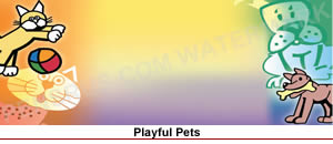 playful pets